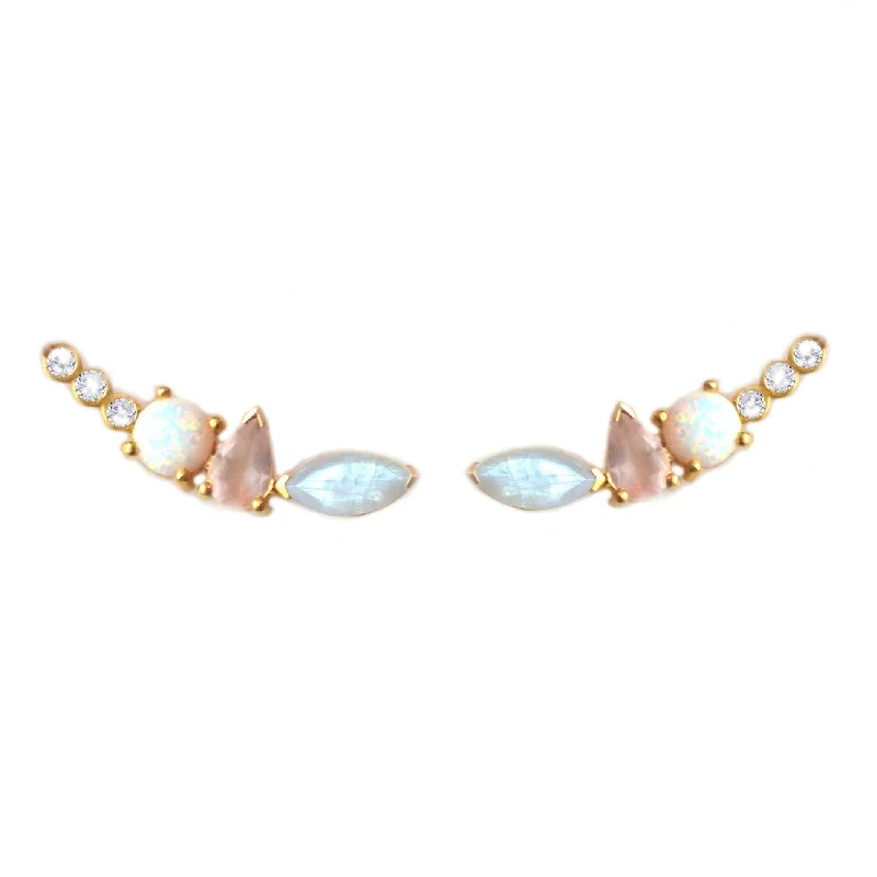 bold statement earrings for women -Rainbow Moonstone and Opal Wing Climbers